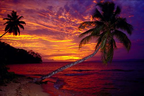 Picture Of Fiji